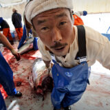 Killing the Tuna